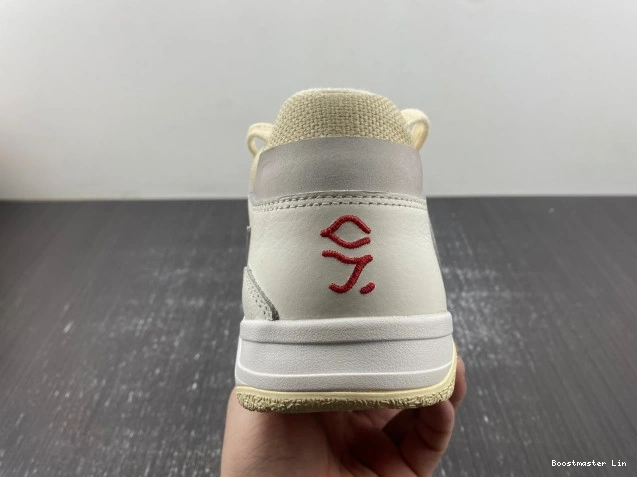 Boostmaster lin JORDAN THE FZ8117-003 X CUT CHECK TRAVIS SCOTT 0730